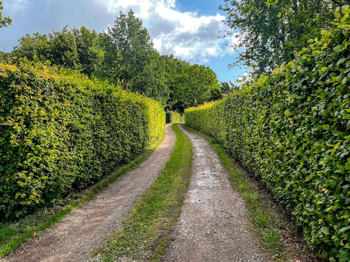 Villingerødvej